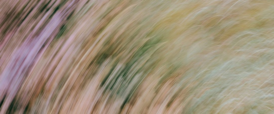 Image @ Annie Spratt, Unsplash